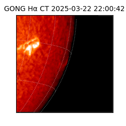gong - 2025-03-22T22:00:42