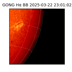 gong - 2025-03-22T23:01:02
