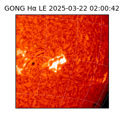 gong - 2025-03-22T02:00:42