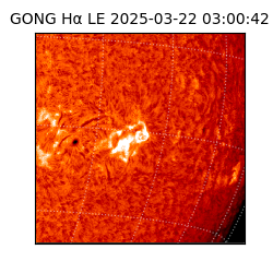 gong - 2025-03-22T03:00:42