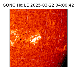 gong - 2025-03-22T04:00:42