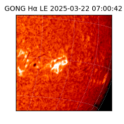 gong - 2025-03-22T07:00:42