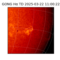 gong - 2025-03-22T11:00:22