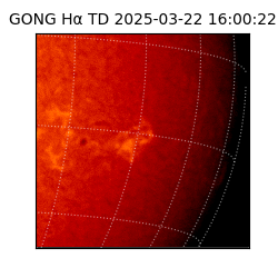 gong - 2025-03-22T16:00:22