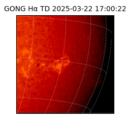 gong - 2025-03-22T17:00:22