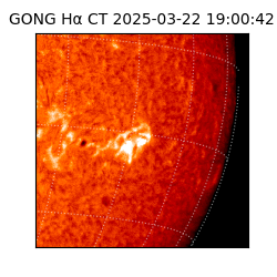 gong - 2025-03-22T19:00:42