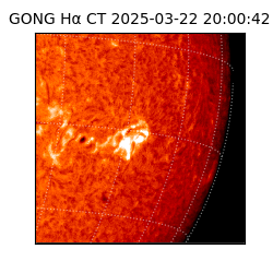 gong - 2025-03-22T20:00:42