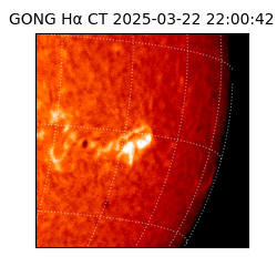 gong - 2025-03-22T22:00:42