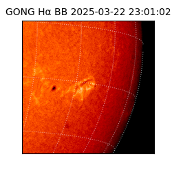 gong - 2025-03-22T23:01:02