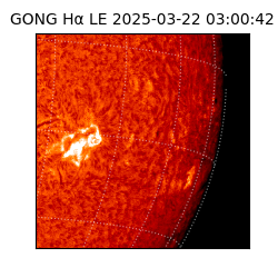 gong - 2025-03-22T03:00:42