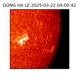 gong - 2025-03-22T04:00:42