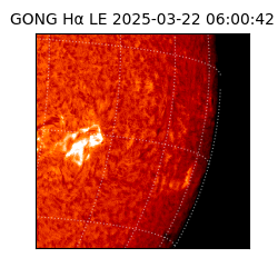 gong - 2025-03-22T06:00:42