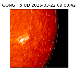 gong - 2025-03-22T09:00:42