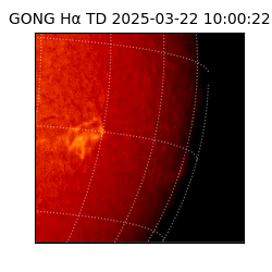 gong - 2025-03-22T10:00:22
