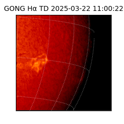 gong - 2025-03-22T11:00:22