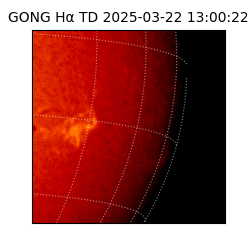 gong - 2025-03-22T13:00:22