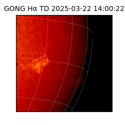 gong - 2025-03-22T14:00:22