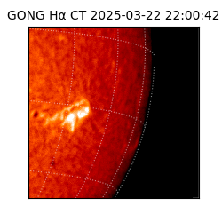 gong - 2025-03-22T22:00:42
