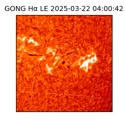 gong - 2025-03-22T04:00:42