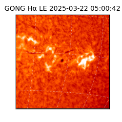 gong - 2025-03-22T05:00:42