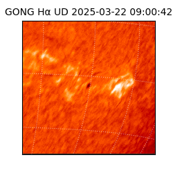 gong - 2025-03-22T09:00:42