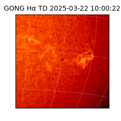 gong - 2025-03-22T10:00:22