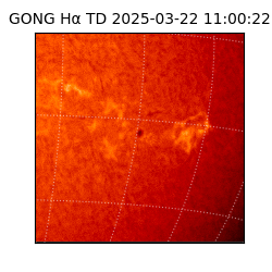 gong - 2025-03-22T11:00:22