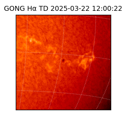 gong - 2025-03-22T12:00:22