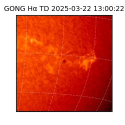 gong - 2025-03-22T13:00:22