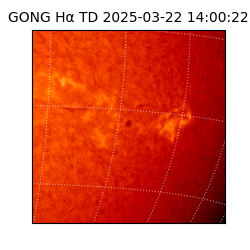 gong - 2025-03-22T14:00:22