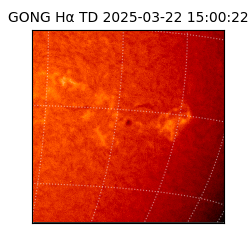 gong - 2025-03-22T15:00:22