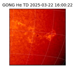 gong - 2025-03-22T16:00:22