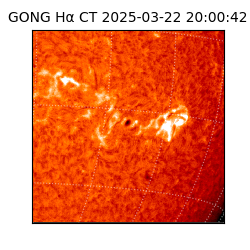 gong - 2025-03-22T20:00:42