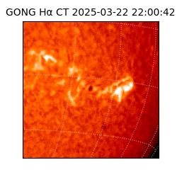 gong - 2025-03-22T22:00:42
