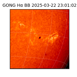 gong - 2025-03-22T23:01:02