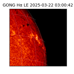 gong - 2025-03-22T03:00:42
