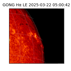 gong - 2025-03-22T05:00:42