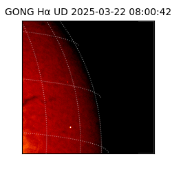 gong - 2025-03-22T08:00:42