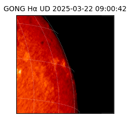 gong - 2025-03-22T09:00:42