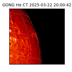 gong - 2025-03-22T20:00:42