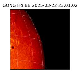 gong - 2025-03-22T23:01:02