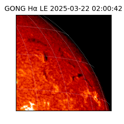 gong - 2025-03-22T02:00:42