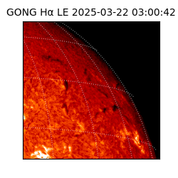 gong - 2025-03-22T03:00:42