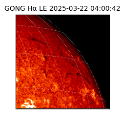 gong - 2025-03-22T04:00:42