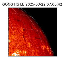 gong - 2025-03-22T07:00:42