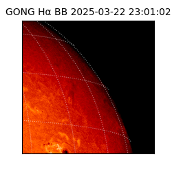 gong - 2025-03-22T23:01:02