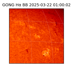 gong - 2025-03-22T01:00:02