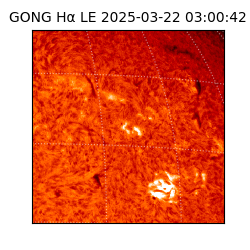 gong - 2025-03-22T03:00:42