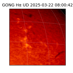 gong - 2025-03-22T08:00:42