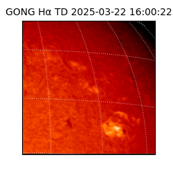 gong - 2025-03-22T16:00:22